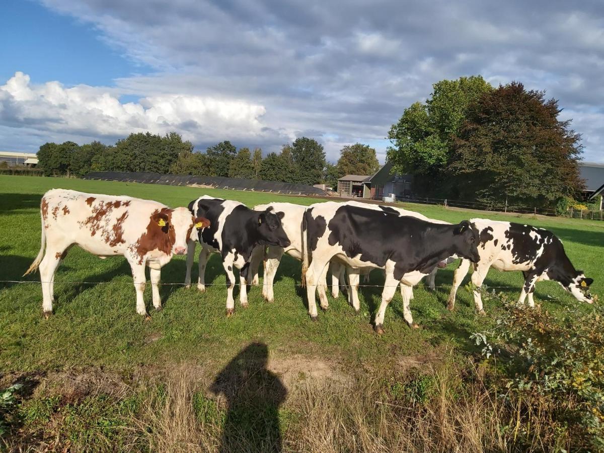 Familiehuis Amber Haaksbergen Exteriör bild